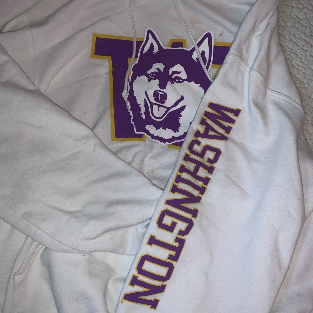 Champion University of Washington Hoodie
